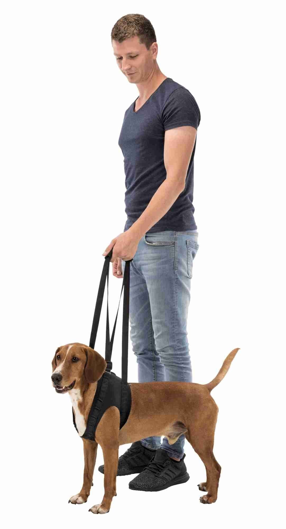 TRIXIE Walking aid, L–XL: 75–85 cm, black