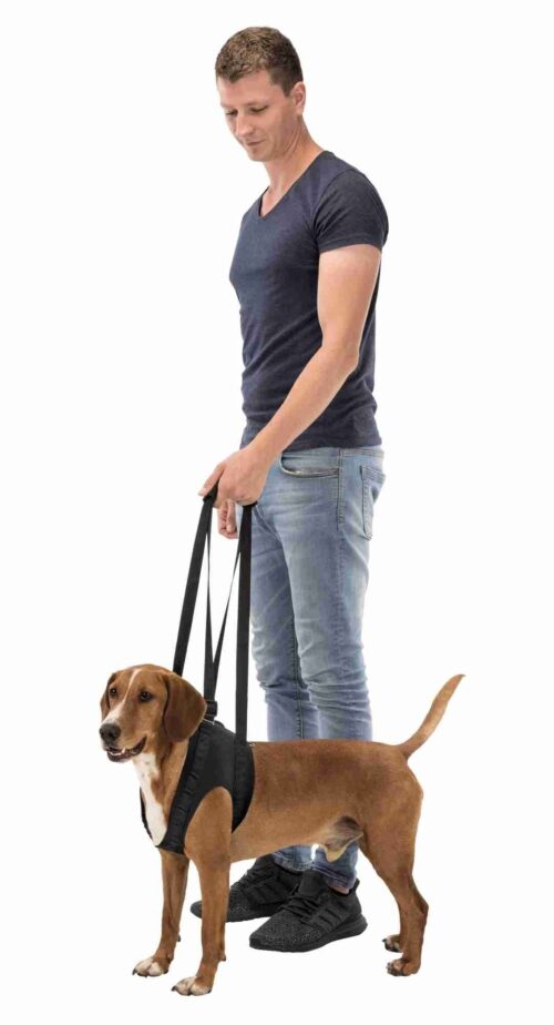 TRIXIE Walking aid, L: 65–75 cm, black