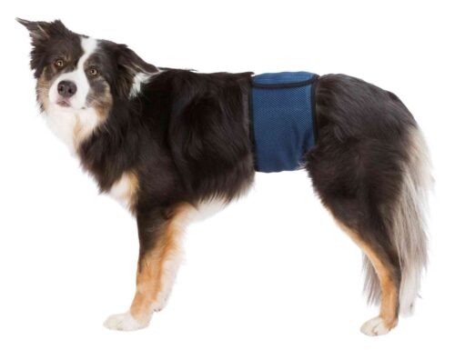TRIXIE Belly band for male dogs, S–M: 37–45 cm, dark blue