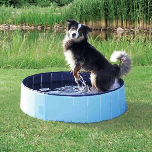 TRIXIE Dog pool, ø 70 × 12 cm, light blue/blue