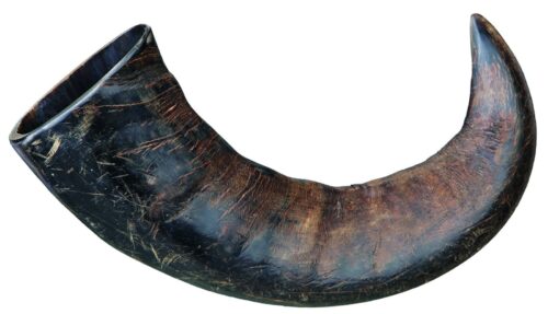 TRIXIE Genuine buffalo chewing horn, large