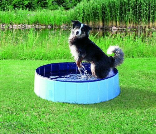 TRIXIE Dog Pool, ø 80 × 20 cm, light blue/blue