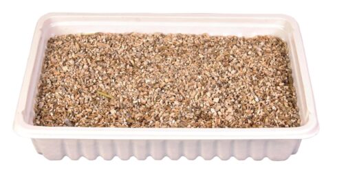 TRIXIE Cat grass dish, bowl/approx. 100 g