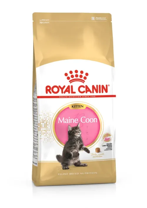 Royal Canin Maine Coon Kitten – Complete Dry Food for Maine Coon Kittens 2 KG