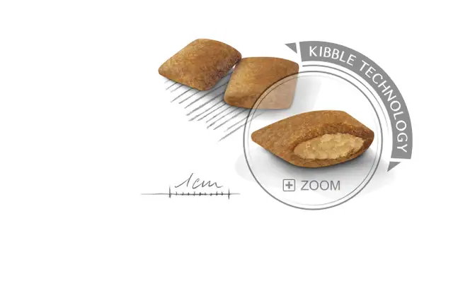 Royal Canin Mini Exigent – Complete Dry Food for Fussy Small-Breed Dogs 1kg | 3kg - Image 3