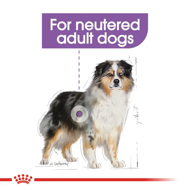 Royal Canin Medium Sterilised – Complete Dry Food for Neutered Adult Medium-Breed Dogs 3KG - Image 3