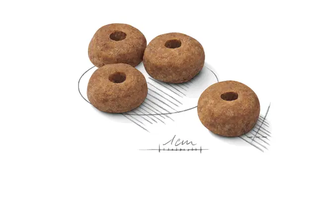 Royal Canin Medium Sterilised – Complete Dry Food for Neutered Adult Medium-Breed Dogs 3KG - Image 4