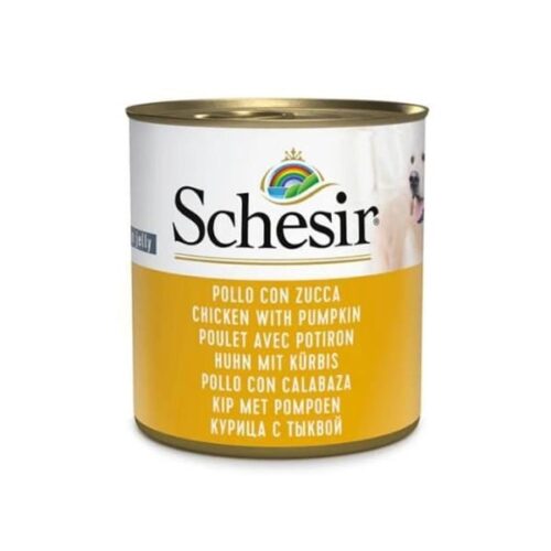 Schesir In Jelly Dog Chicken With Pumpkin in Jelly 16x285g Cans