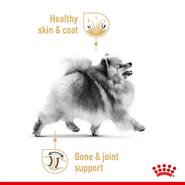 Royal Canin Pomeranian Adult – Complete Dry Food for Adult Pomeranians 1.5kg - Image 2