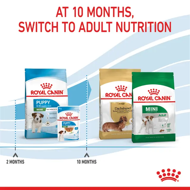 Royal Canin Mini Puppy – Complete Dry Food for Small Breed Puppies 800g>>4kg - Image 4
