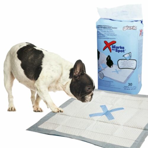 Gloria Super Absorbent Pee Pads 60x60cm – Pack of 30 Training Pads