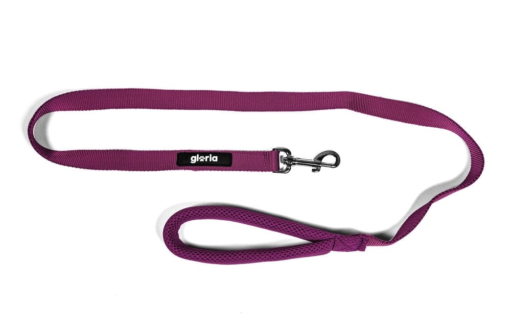 Trek Star Air Mesh Lead – Soft Grip Leash (120cm) - Image 13