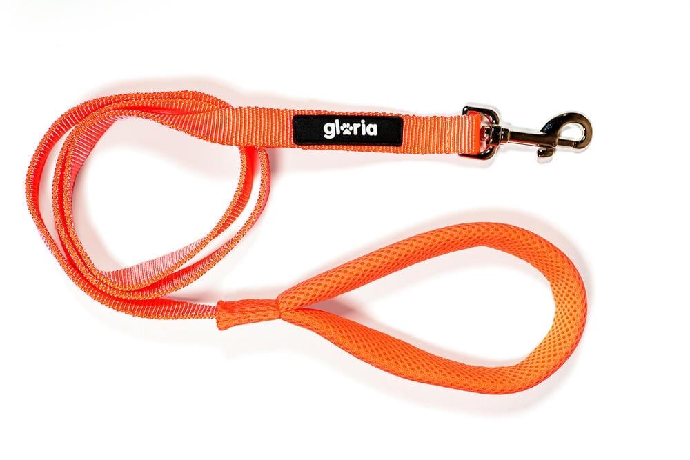 Trek Star Air Mesh Lead – Soft Grip Leash (120cm) - Image 7