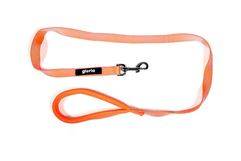 Trek Star Air Mesh Lead – Soft Grip Leash (120cm) - Image 18
