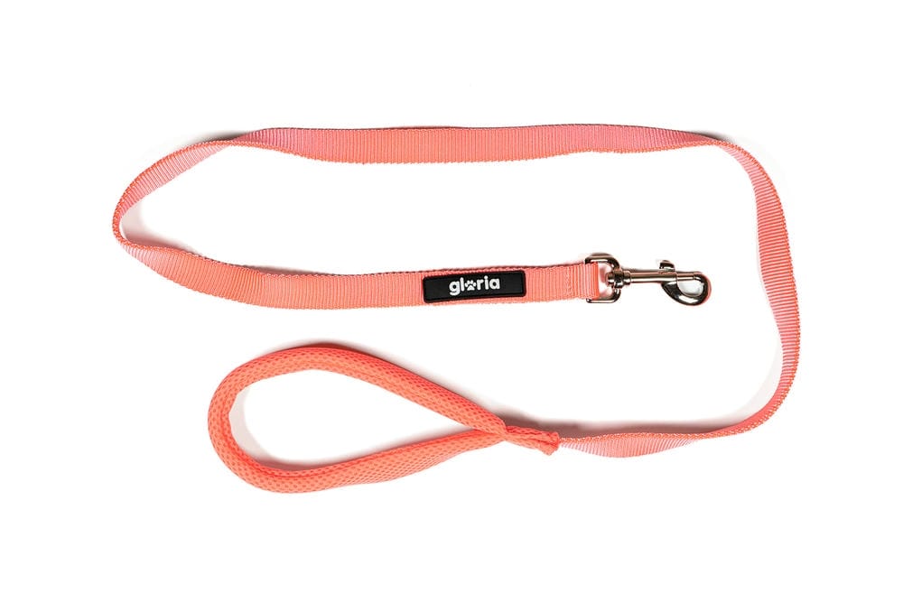 Trek Star Air Mesh Lead – Soft Grip Leash (120cm) - Image 16