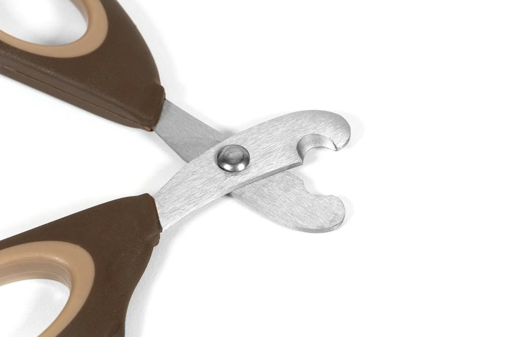 Cat Nail Scissors – 15cm - Image 4