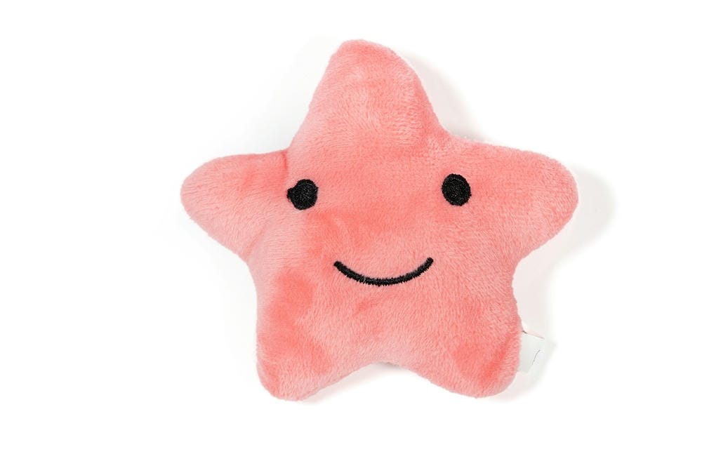 Vega the Starfish Plush Dog Toy - Image 2