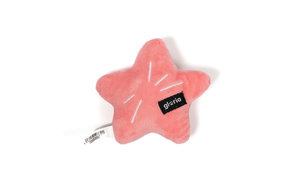 Vega the Starfish Plush Dog Toy - Image 3