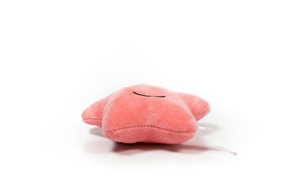 Vega the Starfish Plush Dog Toy - Image 4