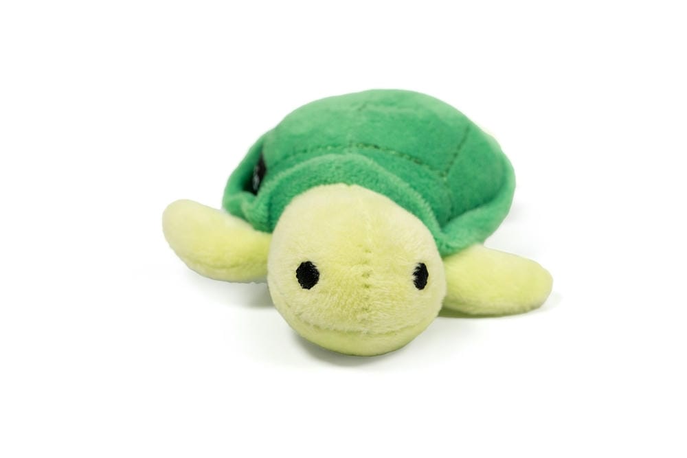 Donatello the Turtle Plush Dog Toy - Image 2