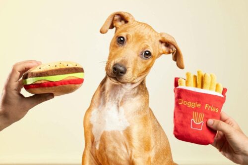 HamburDog & GloriaFries Plush Dog Toys