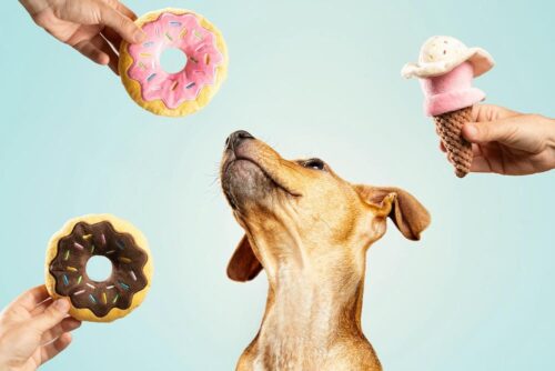 Dognut Plush Dog Toy – Chocolate & Frosty Style