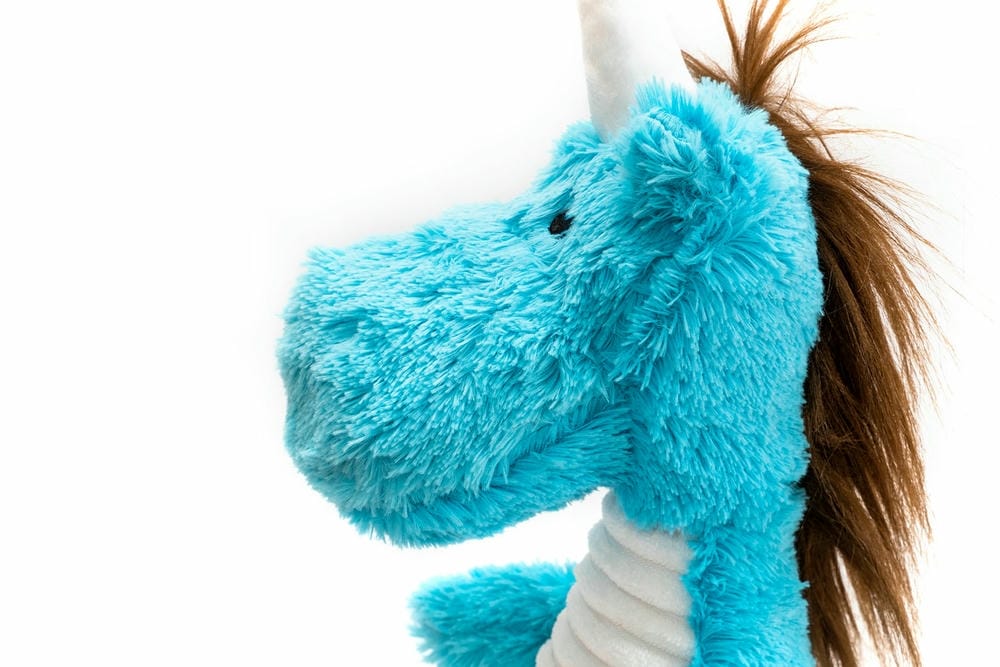 Finn Plush Toy – Squeaky Fantasy Dragon Plush for Dogs - Image 6