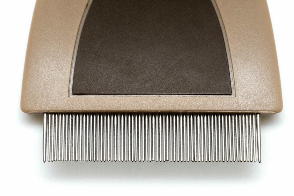 Mini Flea Comb - Image 3