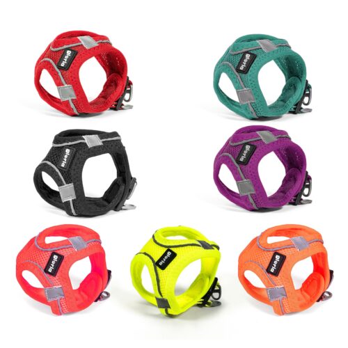 Air Mesh Trek Star Harness