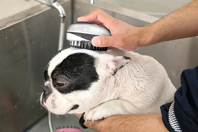 Rosewood 2-in-1 Bath & Groom Brush for Cats & Dogs - Image 3