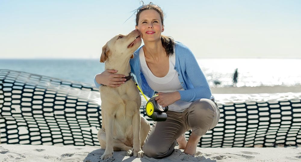 Flexi Neon Cord Retractable Dog Lead – High-Visibility Leash for Cats & Dogs (XS, S, M) - Image 4