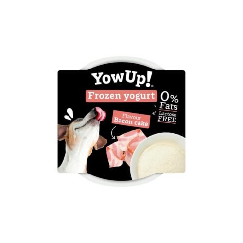 YOW UP DOG - Bacon Cake Frozen Yogurt 3 Pack & 12 Pack