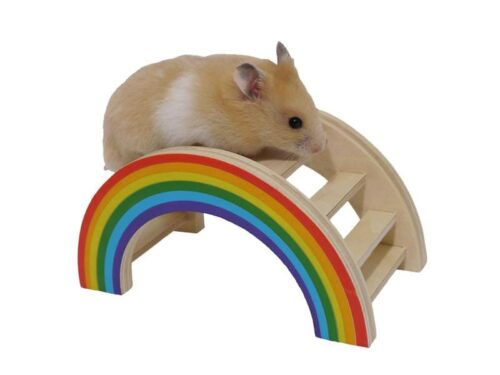 Rainbow Play Bridge Small