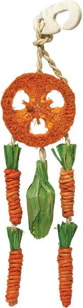 Carrot Dream Catcher