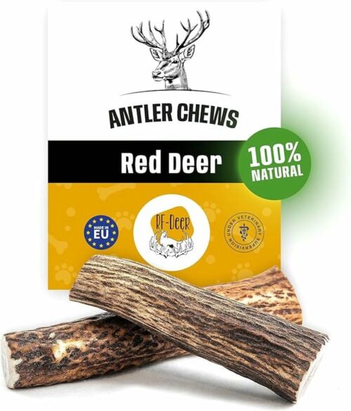 RF - Deer Antlers for Dogs PREMIUM HARD - 5 Sizes (S, M, L, XL, XXL)