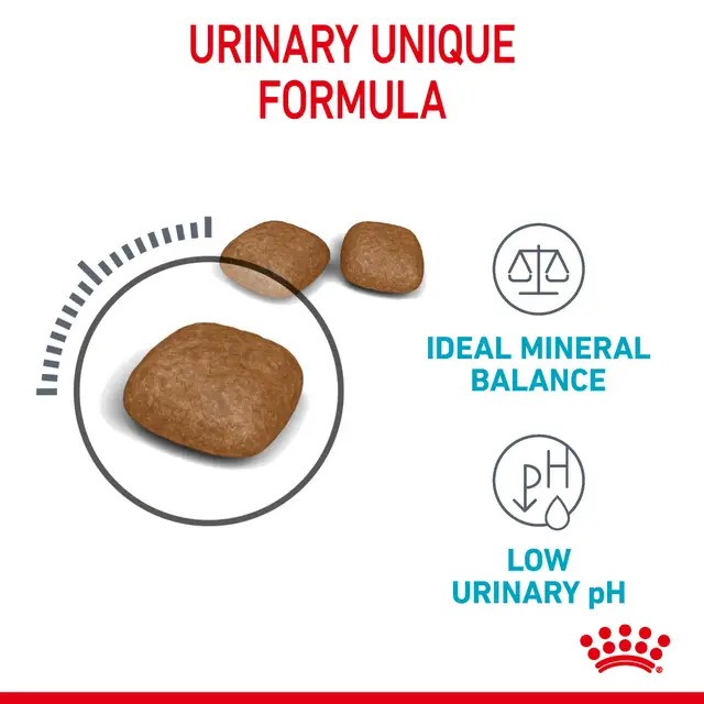 Royal Canin Urinary Care – Complete Dry Food for Adult Cats (2kg) - Image 2