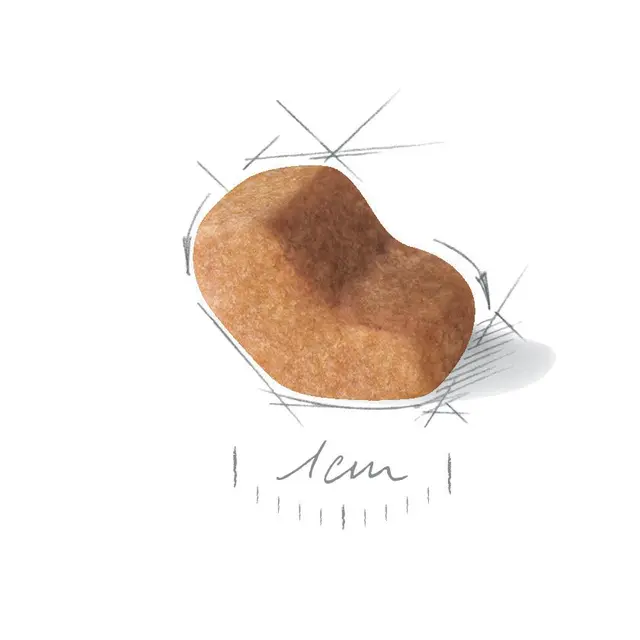 Royal Canin Shih Tzu Adult – Complete Dry Food for Adult Shih Tzu Dogs 1.5kg | 7.5kg - Image 4