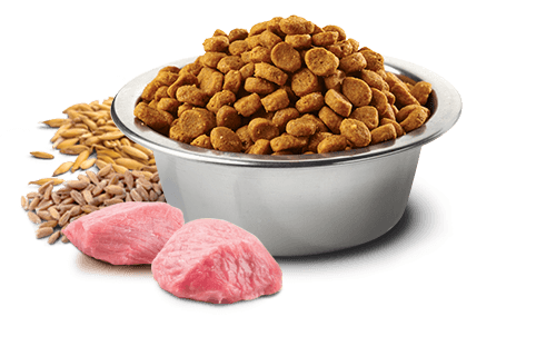 Farmina N&D Tropical - Pork, spelt, oats and tropical fruits - Medium & Maxi Adult Dry Dog Food 2KG | 10KG - Image 2