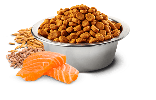 Farmina N&D Tropical - Salmon, spelt, oats and tropical fruits - Medium & Maxi Adult Dry Dog Food 2KG | 10KG - Image 2