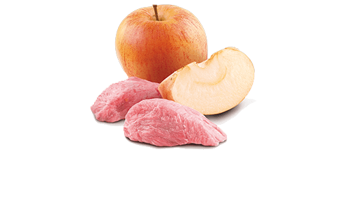 Farmina N&D Prime Boar and Apple Adult Cat Wet Food 24x70g Tins - Image 2