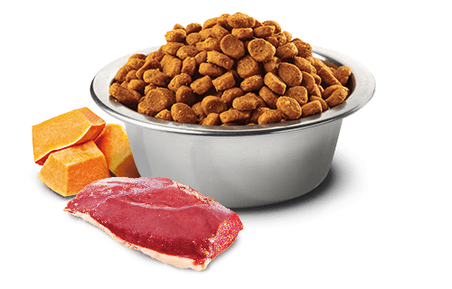 Farmina N&D Pumpkin Duck & Cantaloupe Adult Cat Dry Food 1.5kg | 5kg - Image 2