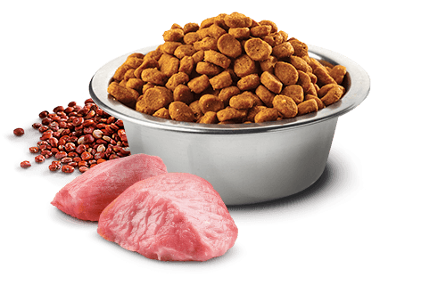 Farmina N&D Quinoa Digestion Adult Cat Dry Food 1.5kg - Image 2