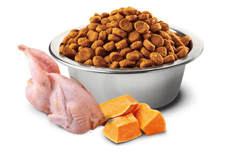 Farmina N&D Pumpkin Quail & Pomegranate Adult Cat Dry Food 1.5kg - Image 2