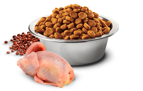 Farmina N&D Quinoa Skin & Coat Quail Adult Cat Dry Food 1.5kg | 5kg - Image 2