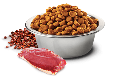 Farmina N&D Quinoa Urinary Adult Cat Dry Food 1.5kg - Image 3