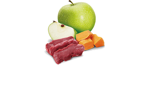 Farmina N&D Pumpkin Venison & Pumpkin Adult Cat Wet Food 24x70g Tins - Image 2