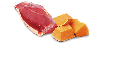 Farmina N&D Pumpkin - Duck & Pumpkin Adult Dog Wet Food 6x140gr | 6x285gr - Image 3