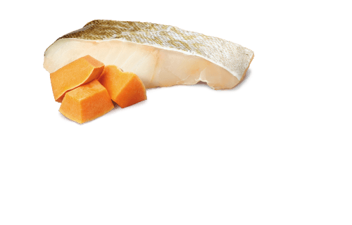 Farmina N&D Ocean - Cod & Pumpkin - PUPPY Dog Wet Food 6x140gr | 6x285gr - Image 3