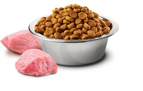 Farmina N&D Pumpkin Neutered, Lamb, Pumpkin and Blueberry Adult Cat Dry Food 1.5kg | 5kg - Image 2