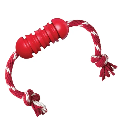 KONG Dental with Rope